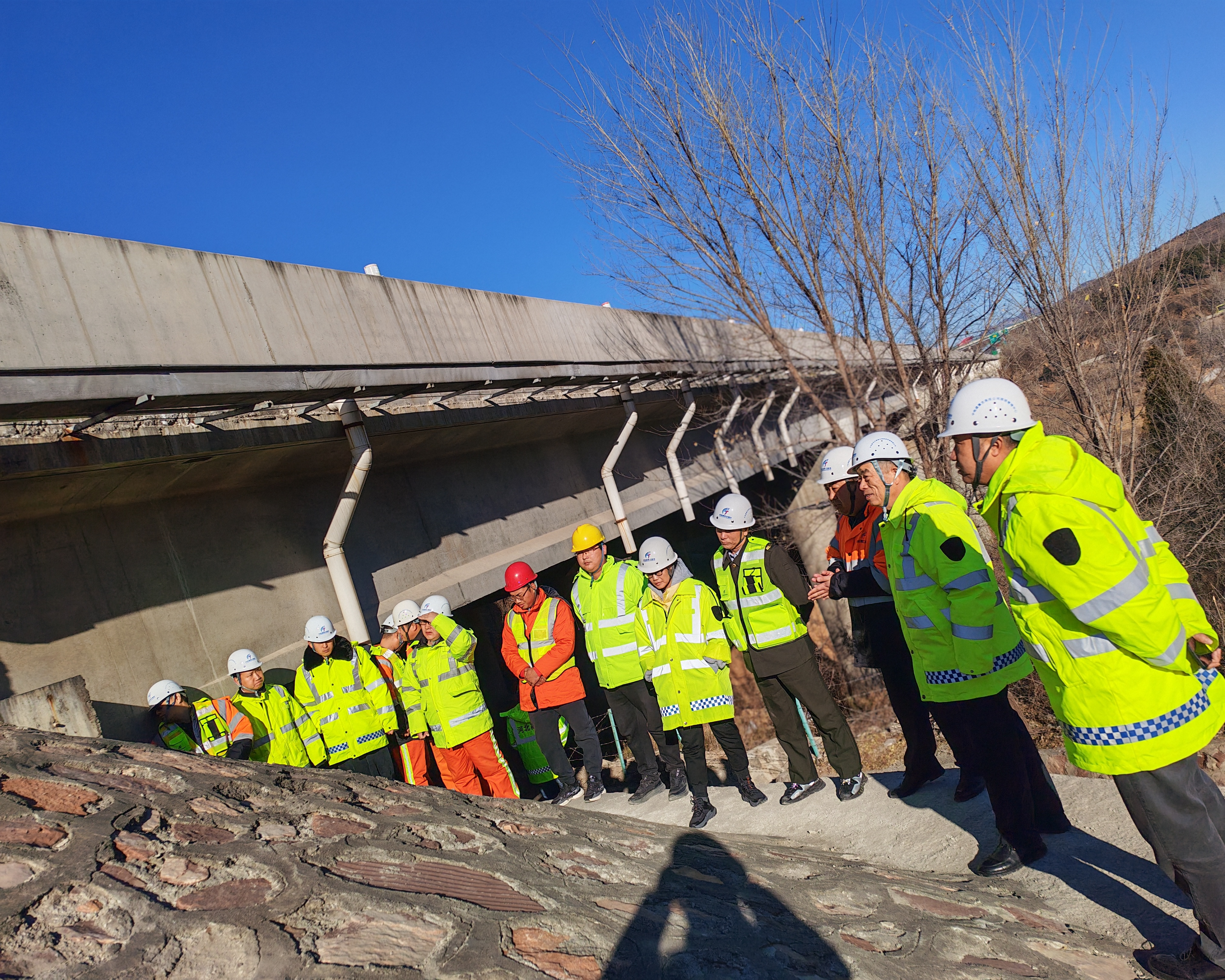 选用二.jpg 选用二.jpg